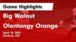 Big Walnut  vs Olentangy Orange  Game Highlights - April 18, 2024