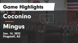Coconino  vs Mingus Game Highlights - Jan. 14, 2022