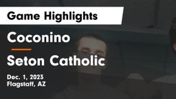 Coconino  vs Seton Catholic Game Highlights - Dec. 1, 2023