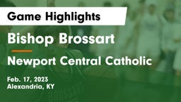 Bishop Brossart  vs Newport Central Catholic Game Highlights - Feb. 17, 2023