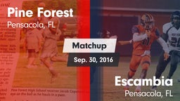 Matchup: Pine Forest High vs. Escambia  2016