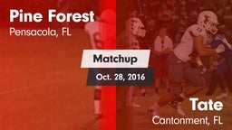 Matchup: Pine Forest High vs. Tate  2016