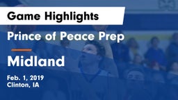 Prince of Peace Prep  vs Midland  Game Highlights - Feb. 1, 2019