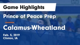 Prince of Peace Prep  vs Calamus-Wheatland  Game Highlights - Feb. 5, 2019