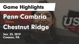 Penn Cambria  vs Chestnut Ridge  Game Highlights - Jan. 23, 2019
