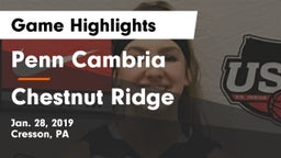 Penn Cambria  vs Chestnut Ridge  Game Highlights - Jan. 28, 2019