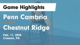 Penn Cambria  vs Chestnut Ridge  Game Highlights - Feb. 11, 2020