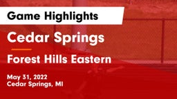 Cedar Springs  vs Forest Hills Eastern  Game Highlights - May 31, 2022