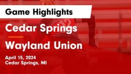 Cedar Springs  vs Wayland Union  Game Highlights - April 15, 2024