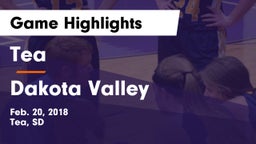 Tea  vs Dakota Valley  Game Highlights - Feb. 20, 2018