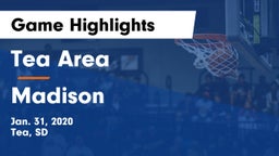 Tea Area  vs Madison  Game Highlights - Jan. 31, 2020