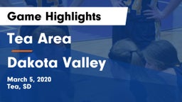 Tea Area  vs Dakota Valley  Game Highlights - March 5, 2020