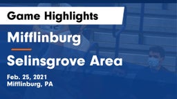 Mifflinburg  vs Selinsgrove Area  Game Highlights - Feb. 25, 2021
