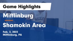 Mifflinburg  vs Shamokin Area  Game Highlights - Feb. 2, 2022
