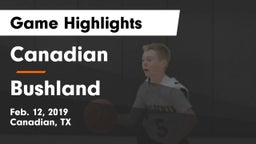 Canadian  vs Bushland  Game Highlights - Feb. 12, 2019