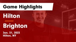 Hilton  vs Brighton  Game Highlights - Jan. 31, 2023