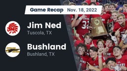 Recap: Jim Ned  vs. Bushland  2022