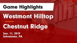 Westmont Hilltop  vs Chestnut Ridge  Game Highlights - Jan. 11, 2019