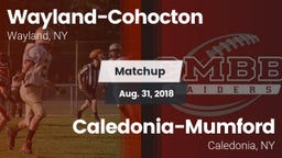 Matchup: Wayland-Cohocton vs. Caledonia-Mumford 2018