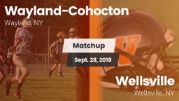 Matchup: Wayland-Cohocton vs. Wellsville  2018