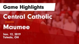 Central Catholic  vs Maumee  Game Highlights - Jan. 12, 2019