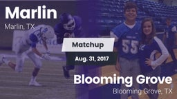 Matchup: Marlin  vs. Blooming Grove  2017