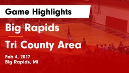 Big Rapids  vs Tri County Area  Game Highlights - Feb 4, 2017