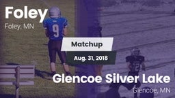 Matchup: Foley  vs. Glencoe Silver Lake  2018