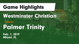 Westminster Christian  vs Palmer Trinity  Game Highlights - Feb. 1, 2019