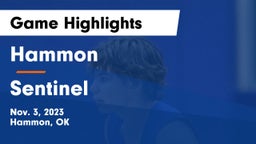 Hammon  vs Sentinel  Game Highlights - Nov. 3, 2023