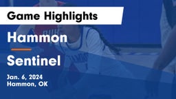 Hammon  vs Sentinel  Game Highlights - Jan. 6, 2024