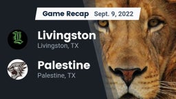 Recap: Livingston  vs. Palestine  2022