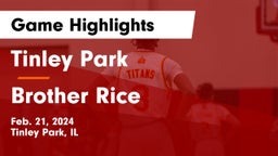 Tinley Park  vs Brother Rice  Game Highlights - Feb. 21, 2024