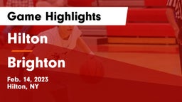 Hilton  vs Brighton  Game Highlights - Feb. 14, 2023