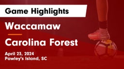 Waccamaw  vs Carolina Forest  Game Highlights - April 23, 2024