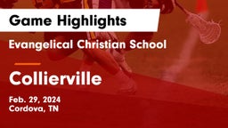 Evangelical Christian School vs Collierville  Game Highlights - Feb. 29, 2024