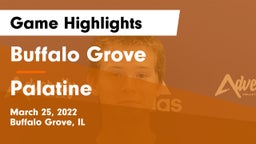 Buffalo Grove  vs Palatine  Game Highlights - March 25, 2022