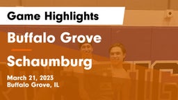 Buffalo Grove  vs Schaumburg  Game Highlights - March 21, 2023