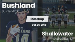 Matchup: Bushland  vs. Shallowater  2018