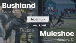 Matchup: Bushland  vs. Muleshoe  2018