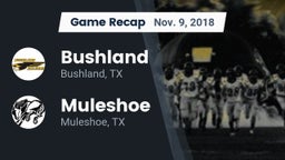 Recap: Bushland  vs. Muleshoe  2018