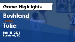 Bushland  vs Tulia  Game Highlights - Feb. 18, 2021