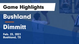 Bushland  vs Dimmitt  Game Highlights - Feb. 23, 2021