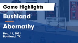 Bushland  vs Abernathy Game Highlights - Dec. 11, 2021