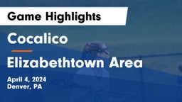 Cocalico  vs Elizabethtown Area  Game Highlights - April 4, 2024
