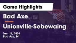Bad Axe  vs Unionville-Sebewaing Game Highlights - Jan. 16, 2024