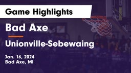 Bad Axe  vs Unionville-Sebewaing  Game Highlights - Jan. 16, 2024