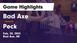 Bad Axe  vs Peck Game Highlights - Feb. 20, 2024