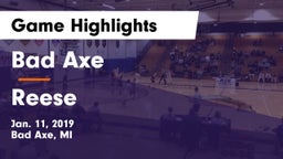 Bad Axe  vs Reese  Game Highlights - Jan. 11, 2019