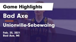 Bad Axe  vs Unionville-Sebewaing  Game Highlights - Feb. 25, 2021